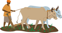 farmer